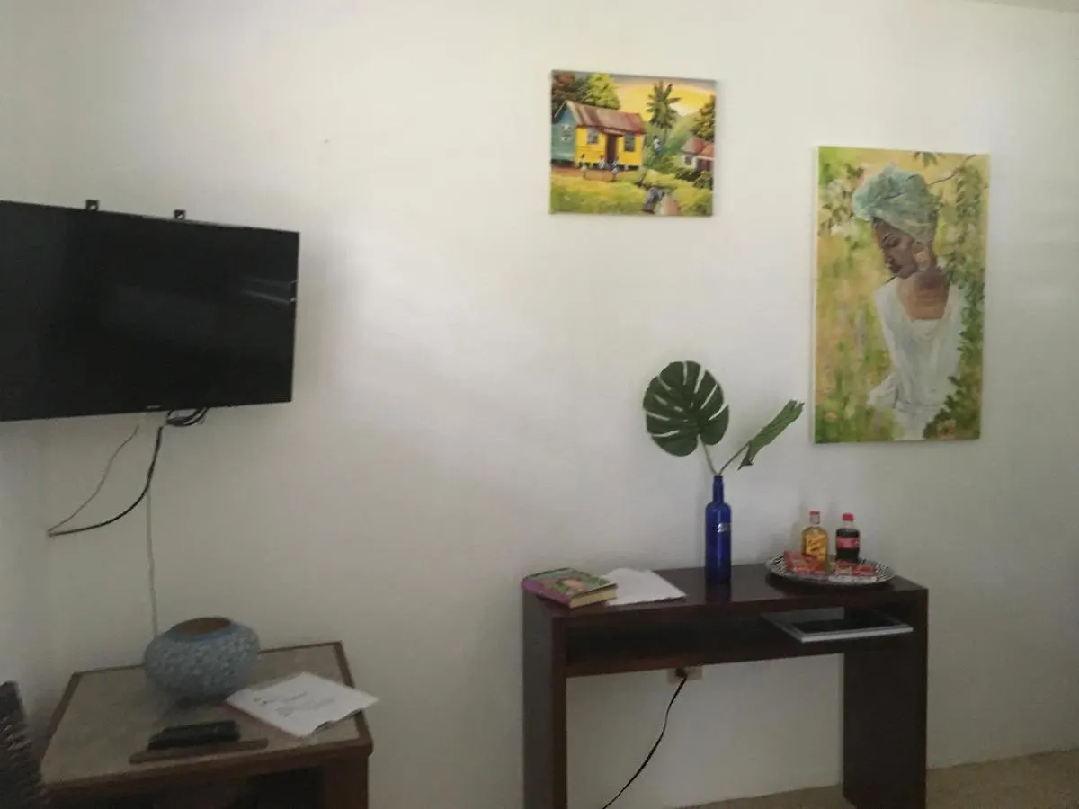 Apartment Ancella'S Garden Apartment-Beach-5Min Drive, 1 Hr Montego Bay, 25 Mins Ocho Rios, Continental Breakfast Jamaica